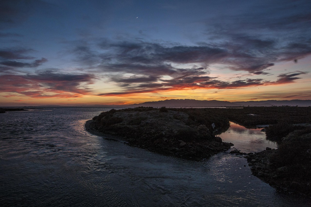 1 Day in Delta del Ebro Adventure